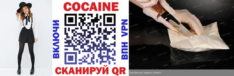дарнет шоп  Сосновый Бор  Cocaine Эквадор 